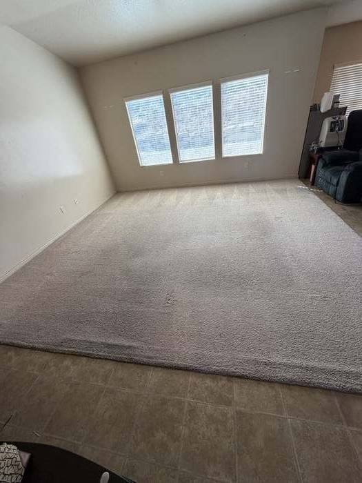 Clean carpet after cleaning