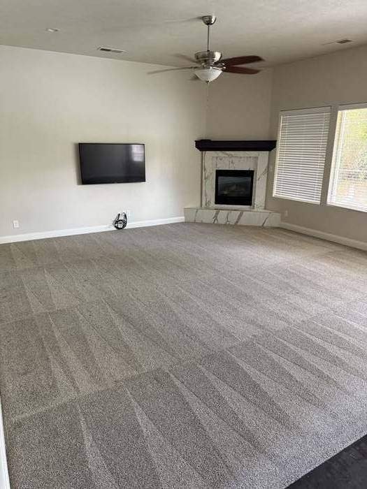 Carpet cleaning